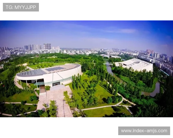 金沙多大规模，深度分析金沙在国内外的影响力与资源优势