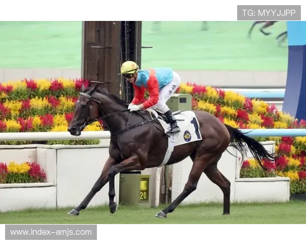 hkjc中文站：香港赛马会中文站的安全保障措施与个人信息保护策略