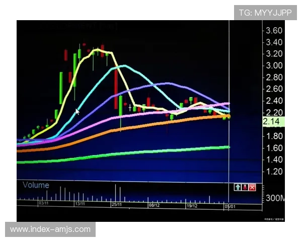 悦凯娱乐市值波动对投资者的影响及应对策略,帮助你做出更明智的投资决策