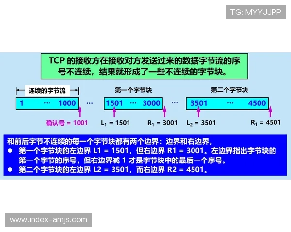 如何选择可靠的金沙国际登录线路,保障账号安全与游戏顺畅的实用指南