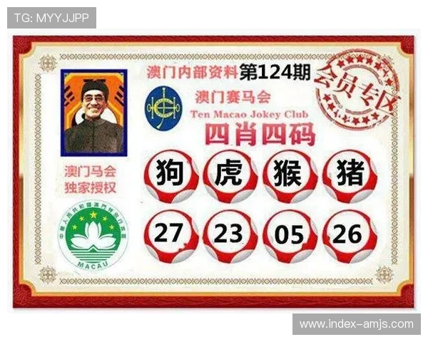 澳门赛马权威三码公函详细解读，提供专业分析与最新官方数据参考